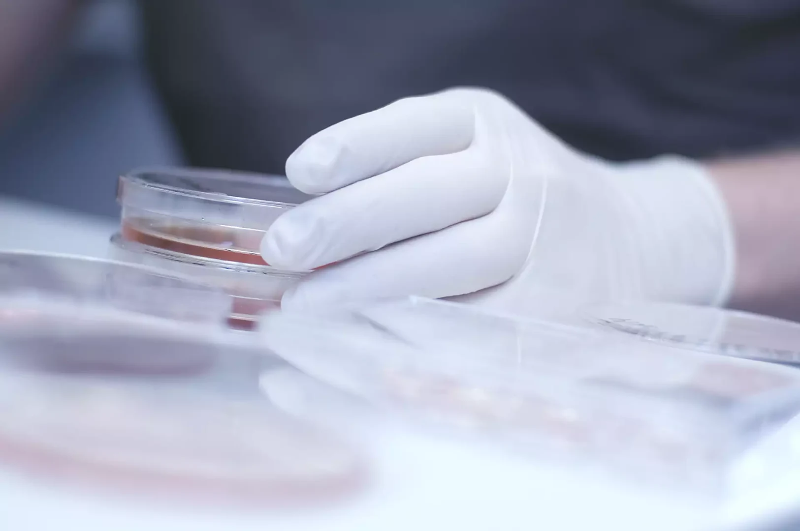 Eine Wissenschaftlerin und ein Wissenschaftler arbeiten hinter einer Glasfassade und mischen Chemikalien mit Großgeräten.